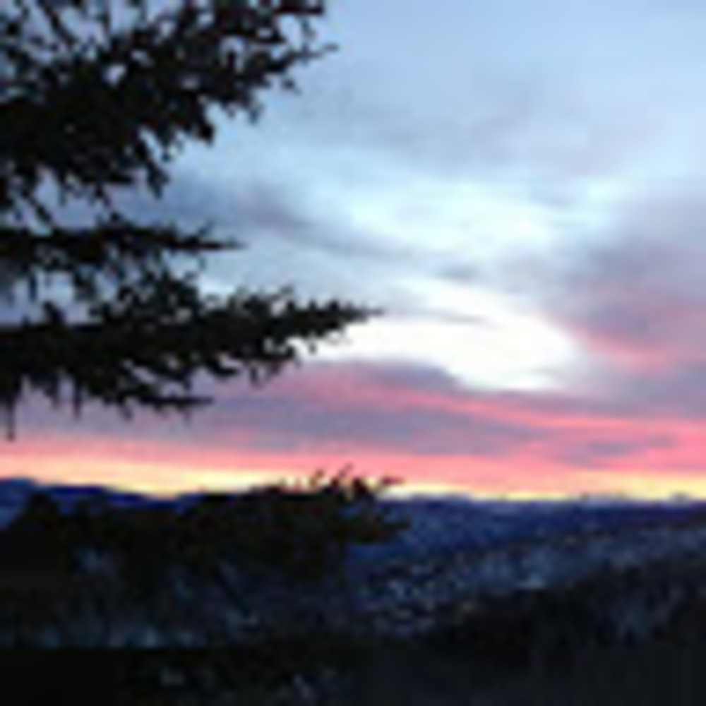 Meet your Posher, Bradley